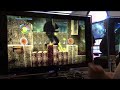 LittleBigPlanet Gameplay - PS Eye