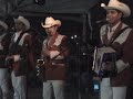 felinos de nuevoleon (la potosina y la mexicanita)