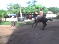 videos de otate