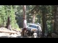 FJ Cruiser FJ Cruiser