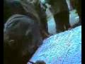videos de 