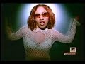 gatas en la disco