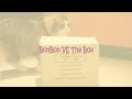 Bonbon The Siberian Cat (maru's Long Lost Twin) Vs The Box