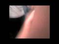 videos de Berlin - Kostja in der Toilette