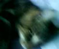 New Cat: Jasper :]