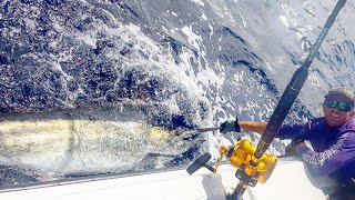 Fishing South West Rocks with Wildside Sportfishing