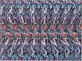The magic eye III 3D pics The magic eye III 3D pics