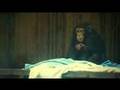 Five News | Monkey World