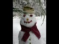 Winter Wonderland