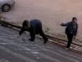 primitivi sezzesi