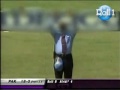 Cricket Punjabi Totay