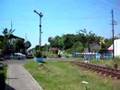 Train to Malang leaving Probolinggo