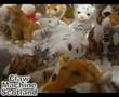 Claw Machine Scotland Irn Bru Carnival PART TWO