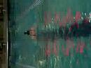 Swimming- 100 Breaststroke Swimming- 100 Breaststroke