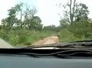 rally-dos-campeoes.html