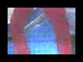 luis armando canta reggeton