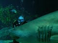 Planet Scuba - Dive with the Sharks 7/7