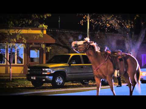 Can you get a DUI on horseback? 0 Can you get a DUI on horseback?