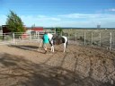saddling