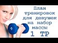 програма тренировок девушки набор массы програма тренировок девушки набор массы