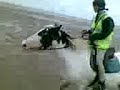 Trotting along the beach