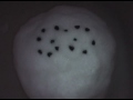 Creepy snowmen are creepy. http://t.co/ydDevxET Visit Jan Libby's #snowtown - http://t.co/TgguXpR4