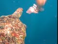 Liveaboard Diving Thailand Liveaboard Diving Thailand