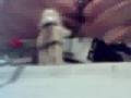 The Epire vs Exoforce