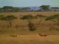Entrenamiento de politicos en Africa
