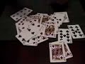 CARDSHARK CARDSHARK