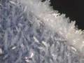 videos de Winters Frost Has Touched My Heart