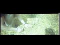 Click here to watch this video Money Dont Grow on Trees