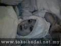 jin masyuk islam