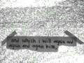 videos de text project.mov