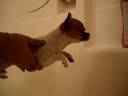 Julio swimming on air.MPG