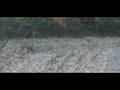 Pike County Illinois Bowhunting
