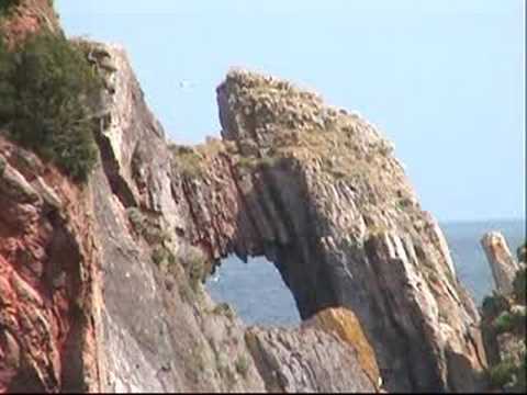 Torquay becomes part of new South West marine conservation area. YouTube Preview Image