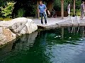 Piscine naturelle Piscine naturelle