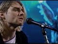 Nirvana Live - Pennyroyal Tea Nirvana Live - Pennyroyal Tea