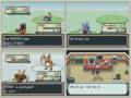 Let-s-race-pokemon-L