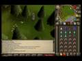 Waterfiends Guide For Beginners