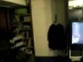 funny video wif alan etccc