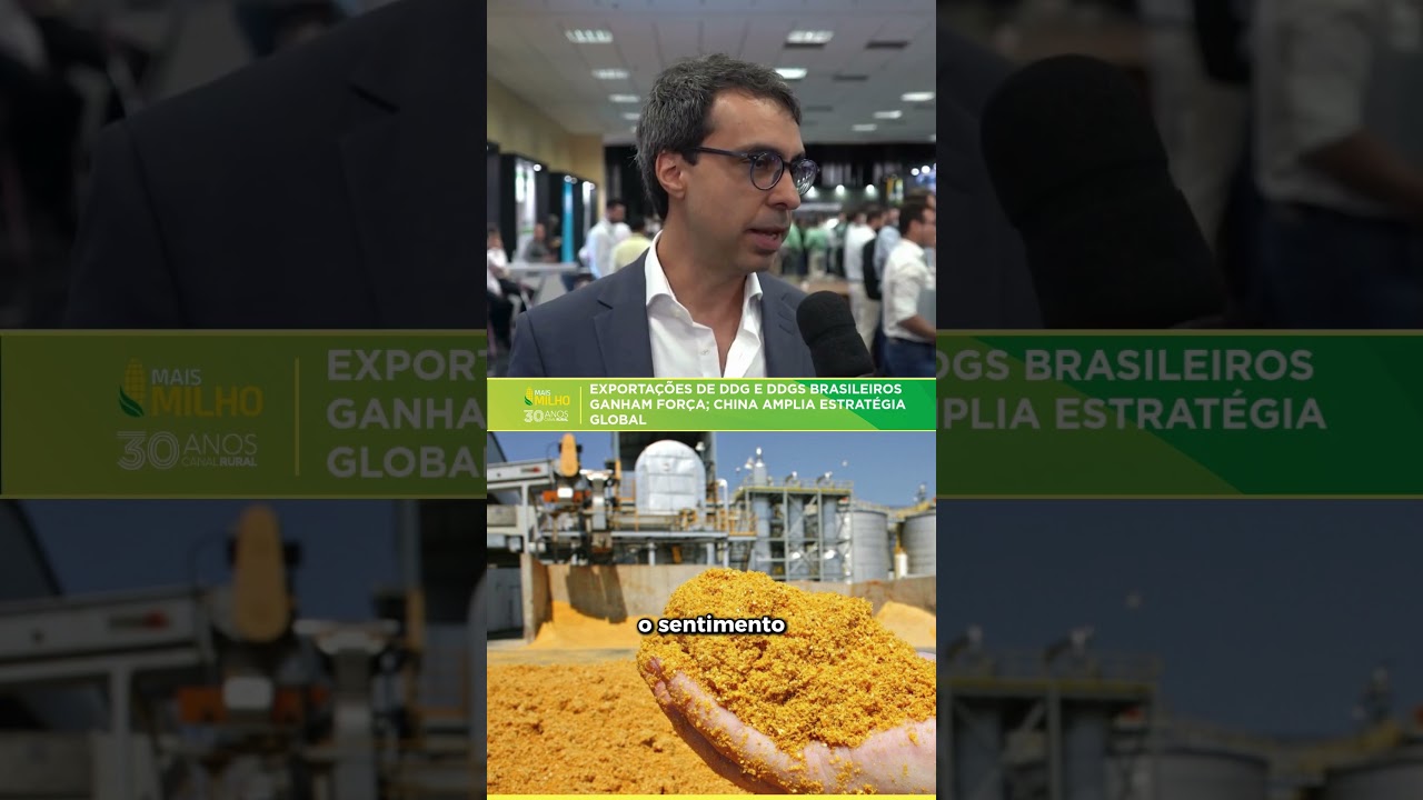 Exportações de DDG e DDGS brasileiros ganham força; China amplia estratégia global