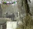 Ghillie of the Mist...