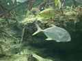 Oceanographic expo park (part 3)