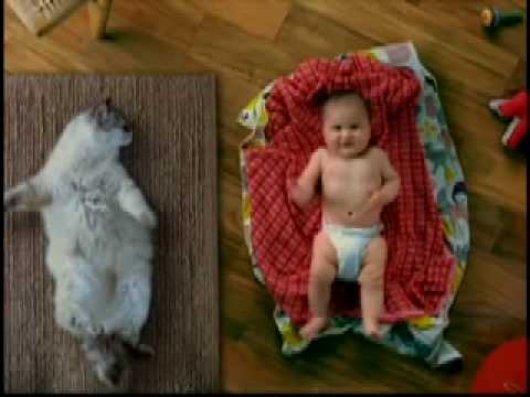 0 Trident ,chat et bebe