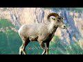 Glacier National Park 2007 Part 2