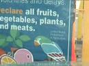 Remember to Declare Your Parrot at the Canadian Border