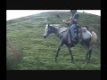 Horseback Mustering on steep hill country