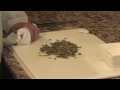 Cooking Techniques : How to Make Roasted Pumpkin Seeds